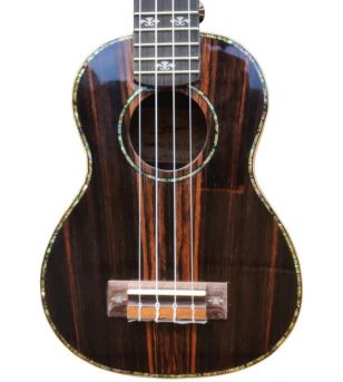 Ukulélé Soprano Bois Hawaii + Housse  21" 53cm