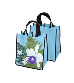 Sac Eco Hawaii Eco Hilo Aqua Recyclé, 100% recyclable  28x29x26
