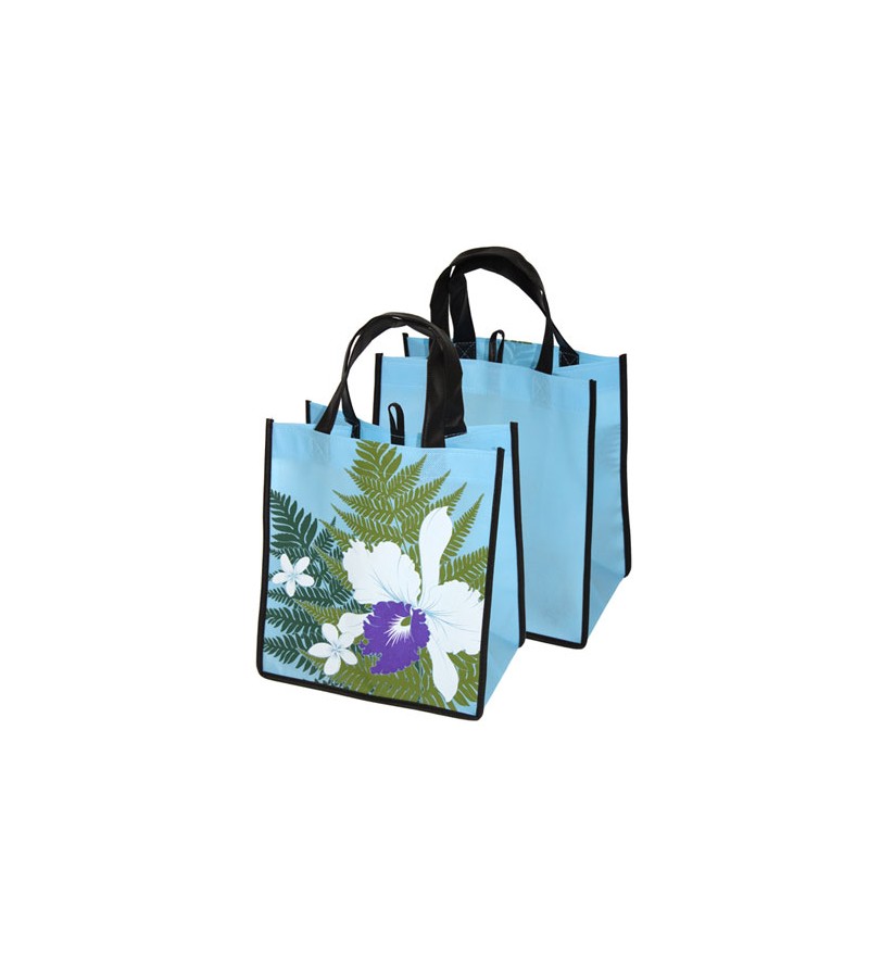 Sac Eco Hawaii Eco Hilo Aqua Recyclé, 100% recyclable  28x29x26