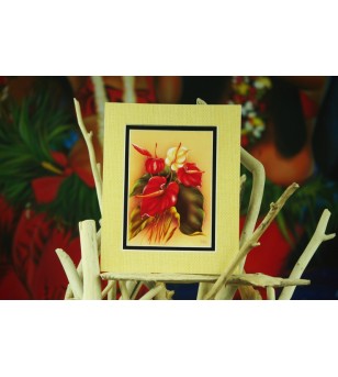 Cadre Déco Red&White Anthuriums Fibre Naturelle 20X25 cm
