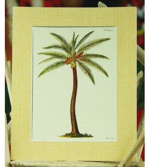 Cadre Déco Palm Tree Fibre Naturelle 20X25 cm