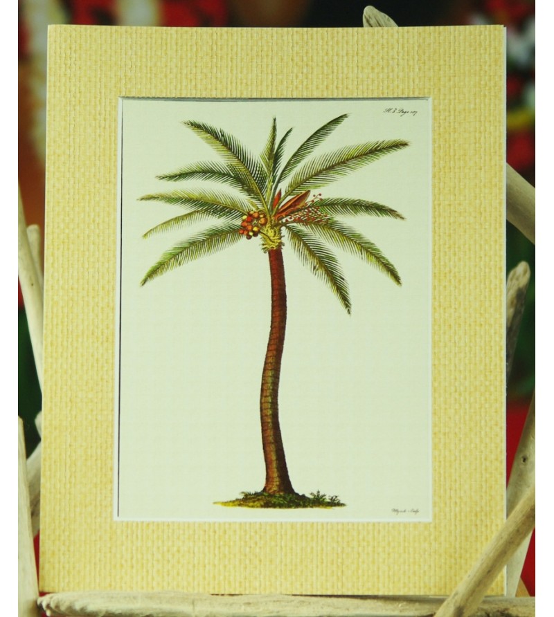 Cadre Déco Palm Tree Fibre Naturelle 20X25 cm