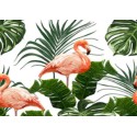 Nappe Tenture Murale Flamingo Forect Green Imprimé Polyester 150*130