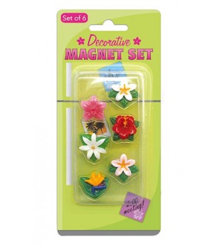 Set 6 Mini Magnet Fleurs Luau Plastique 