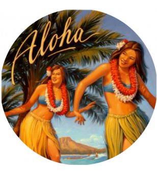 Magnet Décapsuleur Aloha Hawaii Surf 