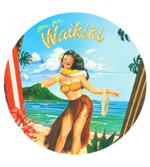 Magnet Décapsuleur Aloha Hawaii Surf 