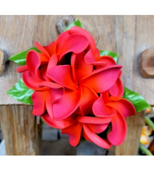 Poara Fleurs Frangipaniers Rouge 11.5x10 cm