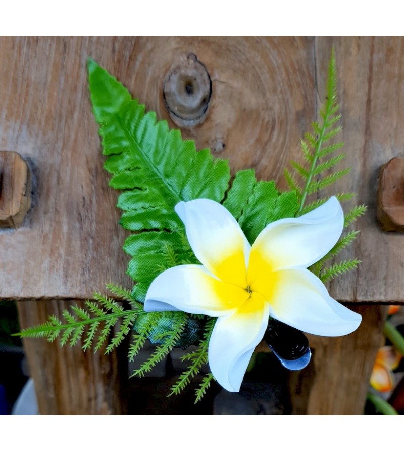 Barrette Fleurs Frangipanier