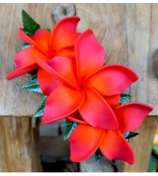 Barrette Fleurs Frangipanier