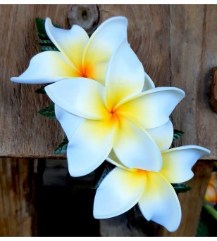 Barrette Fleurs Frangipanier