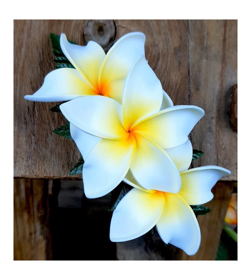 Barrette Fleurs Frangipanier