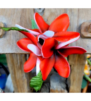 Barrette Fleurs Frangipanier