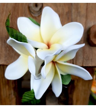 Barrette Fleurs Frangipanier