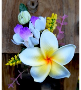 Barrette Fleurs Frangipanier