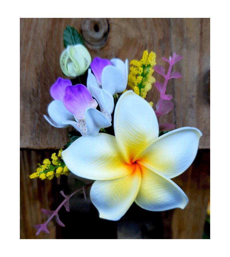 Barrette Fleurs Frangipanier