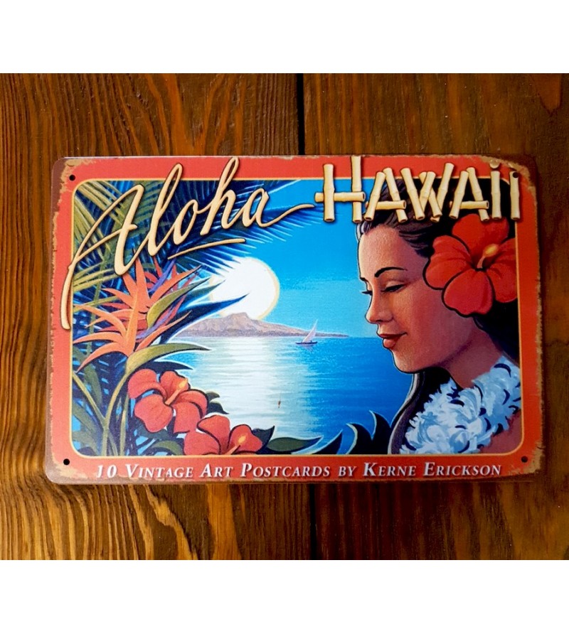 Plaque Métal Surf, Hawaii, Vintage 20*30