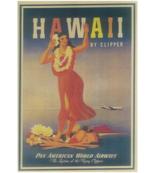 Affiche Papier Craft Hawaii, Surf, Tiki, Voyage, Vintage  42*30cm