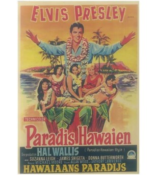 Affiche Papier Craft Hawaii, Surf, Tiki, Voyage, Vintage  42*30cm