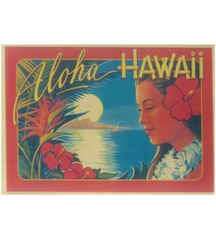 Affiche Papier Craft Hawaii, Surf, Tiki, Voyage, Vintage  30*42cm