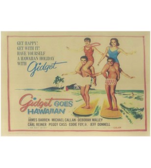 Affiche Papier Craft Hawaii, Surf, Tiki, Voyage, Vintage  30*42cm