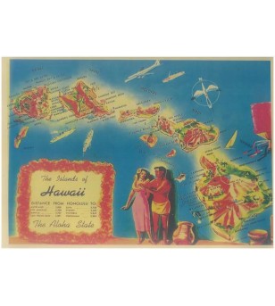 Affiche Papier Craft Hawaii, Surf, Tiki, Voyage, Vintage  30*42cm