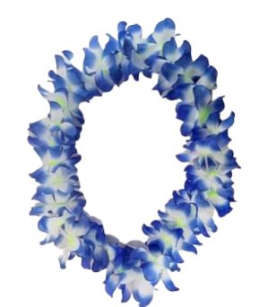 Colliers Fleurs Bleu Blanc